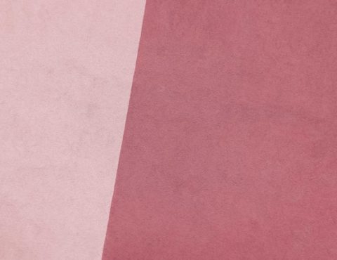 Action en nullité de la vente et liquidation judiciaire